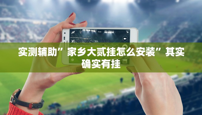 实测辅助”家乡大贰挂怎么安装”其实确实有挂