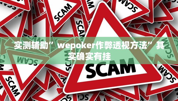 实测辅助”wepoker作弊透视方法”其实确实有挂