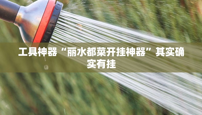 工具神器“丽水都菜开挂神器”其实确实有挂