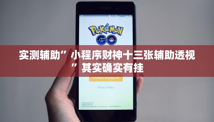 实测辅助”小程序财神十三张辅助透视”其实确实有挂