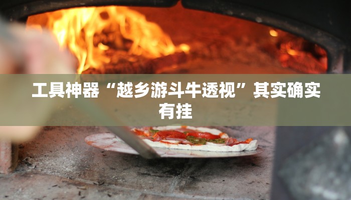 工具神器“越乡游斗牛透视”其实确实有挂