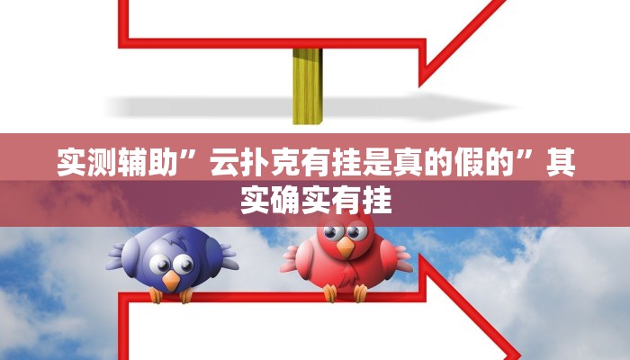 实测辅助”云扑克有挂是真的假的”其实确实有挂
