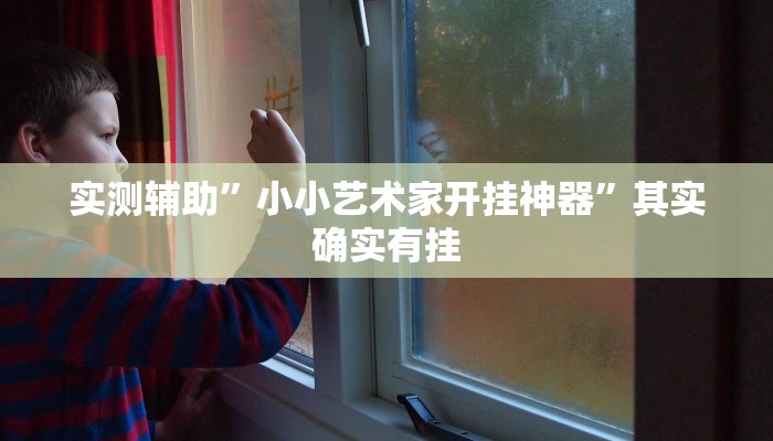 实测辅助”小小艺术家开挂神器”其实确实有挂