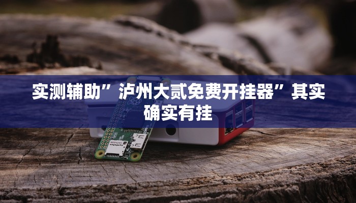 实测辅助”泸州大贰免费开挂器”其实确实有挂