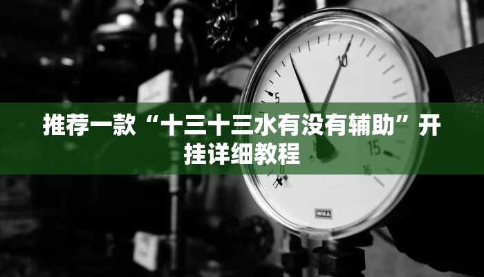 推荐一款“十三十三水有没有辅助”开挂详细教程