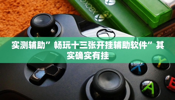 实测辅助”畅玩十三张开挂辅助软件”其实确实有挂
