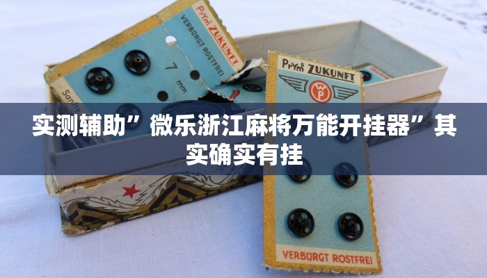 实测辅助”白金岛跑得快开挂神器”其实确实有挂