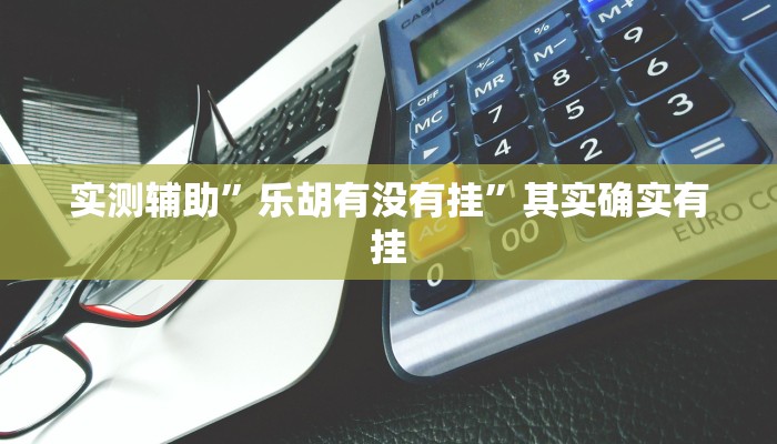 实测辅助”乐胡有没有挂”其实确实有挂