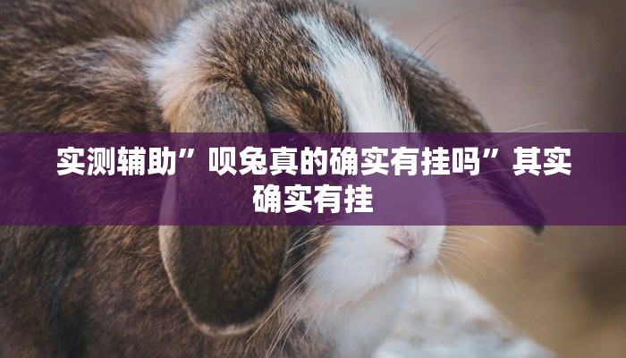 实测辅助”呗兔真的确实有挂吗”其实确实有挂