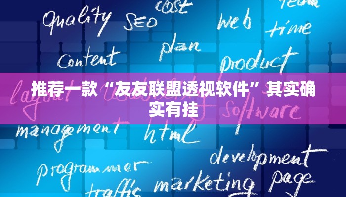 推荐一款“友友联盟透视软件”其实确实有挂