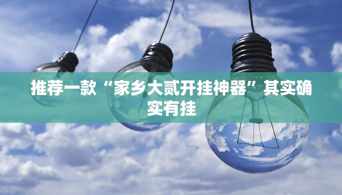 推荐一款“家乡大贰开挂神器”其实确实有挂