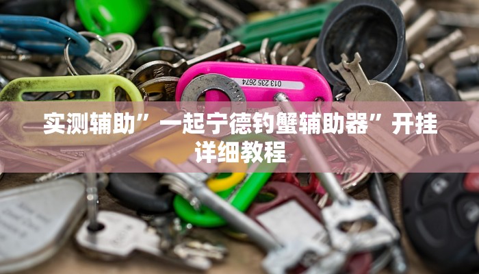 实测辅助”一起宁德钓蟹辅助器”开挂详细教程