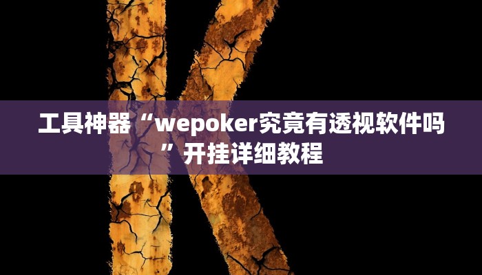 工具神器“wepoker究竟有透视软件吗”开挂详细教程