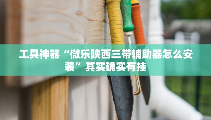 工具神器“微乐陕西三带辅助器怎么安装”其实确实有挂