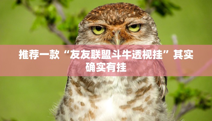 推荐一款“友友联盟斗牛透视挂”其实确实有挂
