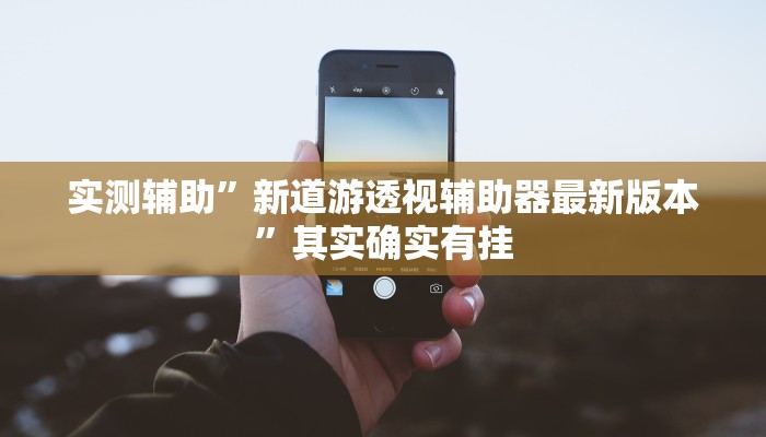 实测辅助”新道游透视辅助器最新版本”其实确实有挂