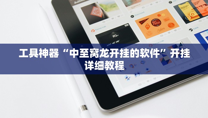 工具神器“中至窝龙开挂的软件”开挂详细教程