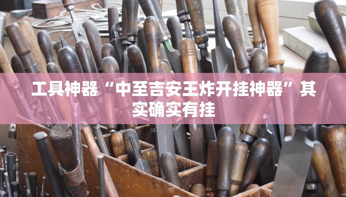 工具神器“中至吉安王炸开挂神器”其实确实有挂