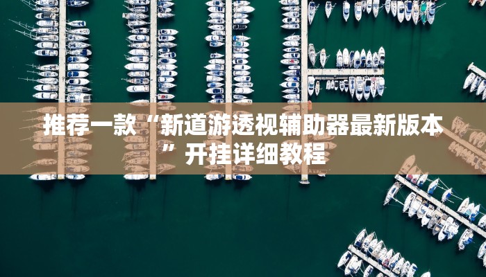 推荐一款“新道游透视辅助器最新版本”开挂详细教程