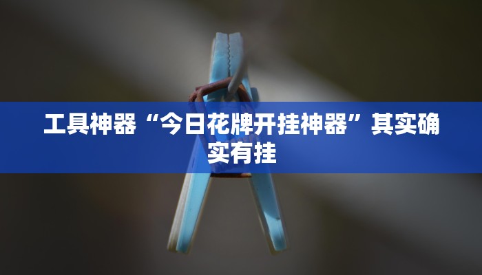 工具神器“今日花牌开挂神器”其实确实有挂