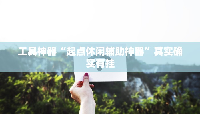工具神器“起点休闲辅助神器”其实确实有挂