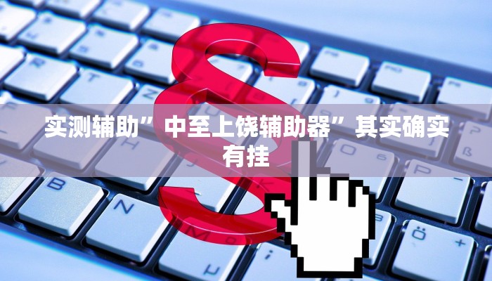 实测辅助”中至上饶辅助器”其实确实有挂