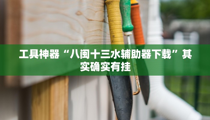 工具神器“八闽十三水辅助器下载”其实确实有挂