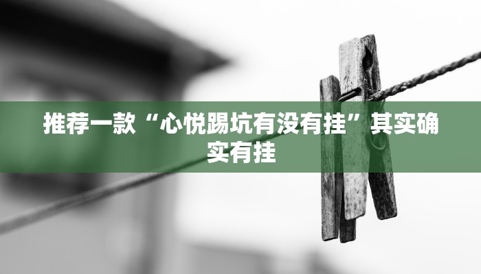 推荐一款“心悦踢坑有没有挂”其实确实有挂
