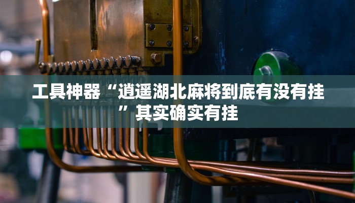 工具神器“逍遥湖北麻将到底有没有挂”其实确实有挂