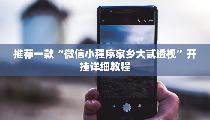 推荐一款“微信小程序家乡大贰透视”开挂详细教程