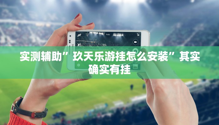 实测辅助”玖天乐游挂怎么安装”其实确实有挂