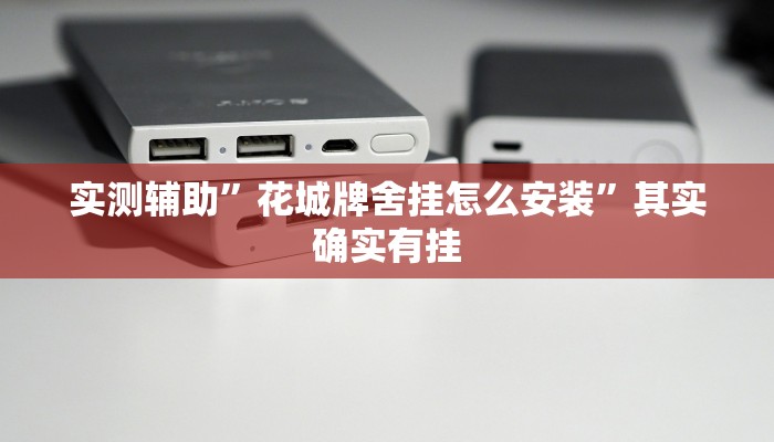 实测辅助”花城牌舍挂怎么安装”其实确实有挂