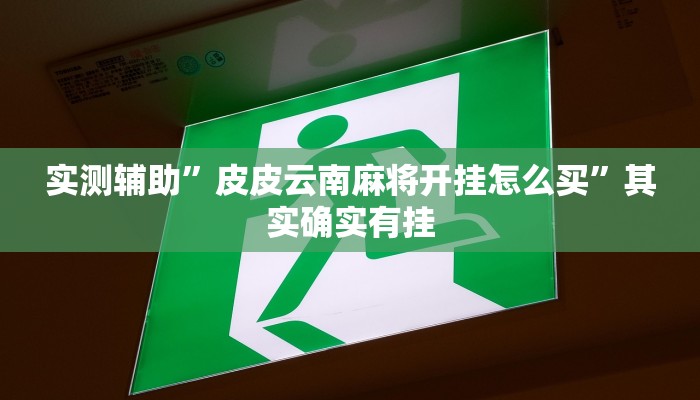 实测辅助”皮皮云南麻将开挂怎么买”其实确实有挂