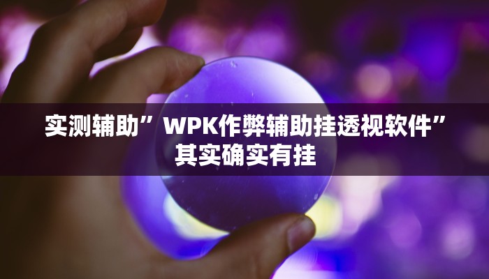 实测辅助”WPK作弊辅助挂透视软件”其实确实有挂