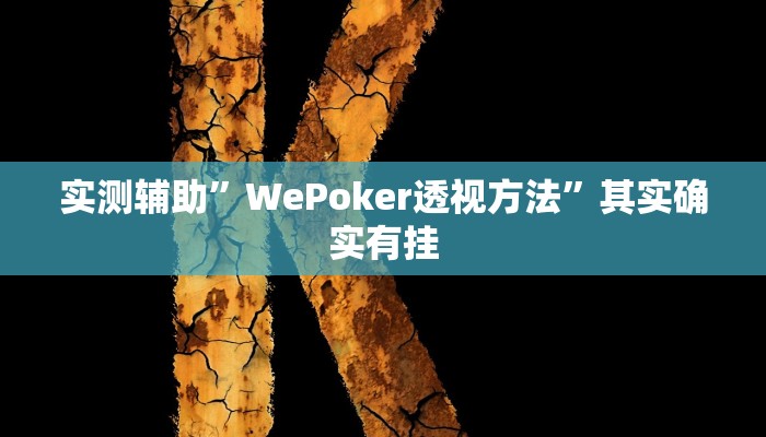 实测辅助”WePoker透视方法”其实确实有挂