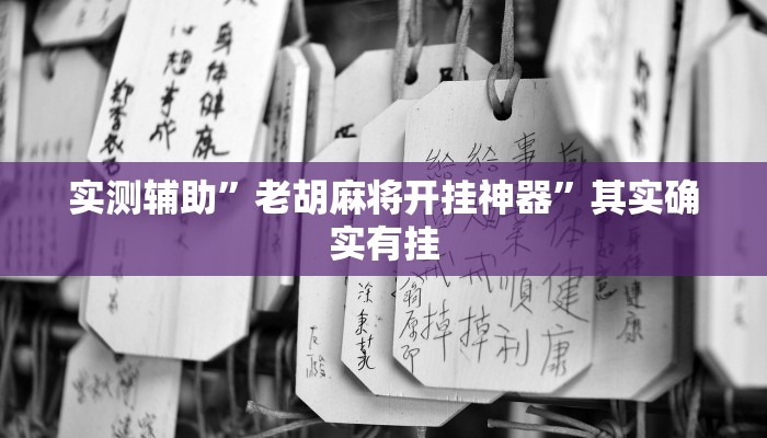 实测辅助”老胡麻将开挂神器”其实确实有挂