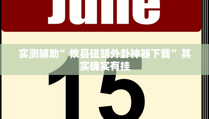 实测辅助”攸县碰胡外卦神器下载”其实确实有挂