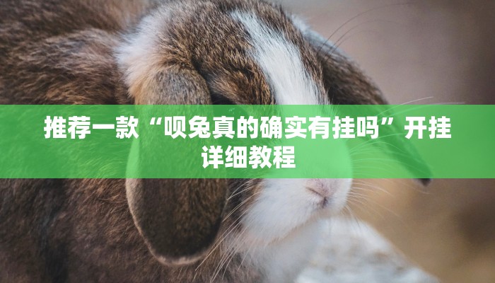 实测辅助”天府麻舍真的有挂吗”其实确实有挂