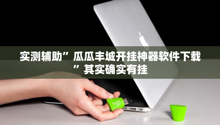 实测辅助”瓜瓜丰城开挂神器软件下载”其实确实有挂