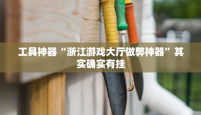 工具神器“浙江游戏大厅做弊神器”其实确实有挂