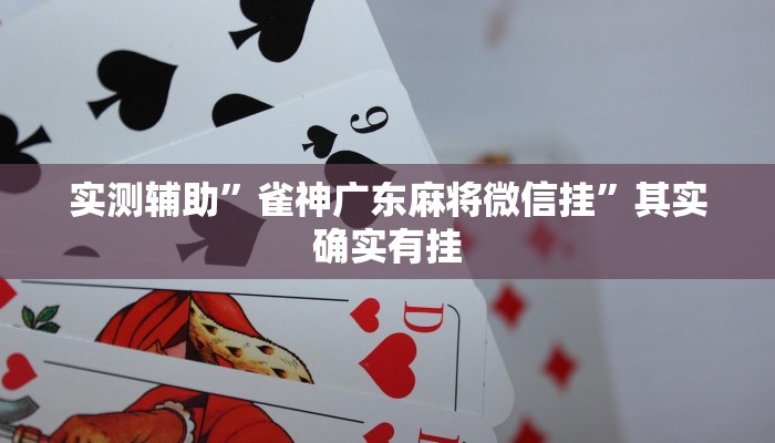 实测辅助”雀神广东麻将微信挂”其实确实有挂