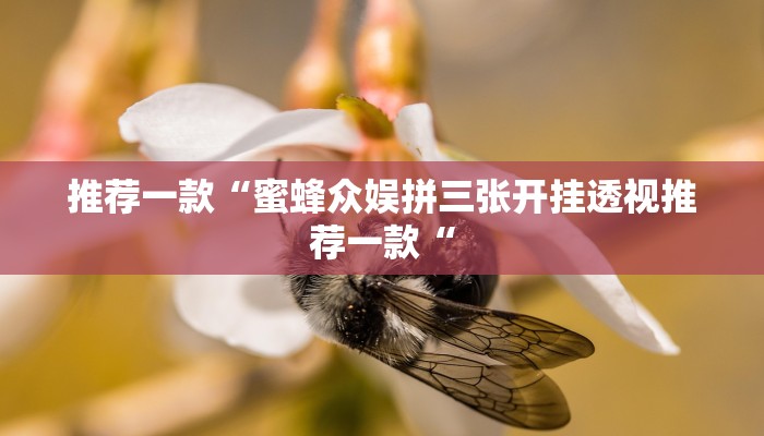 推荐一款“蜜蜂众娱拼三张开挂透视推荐一款“
