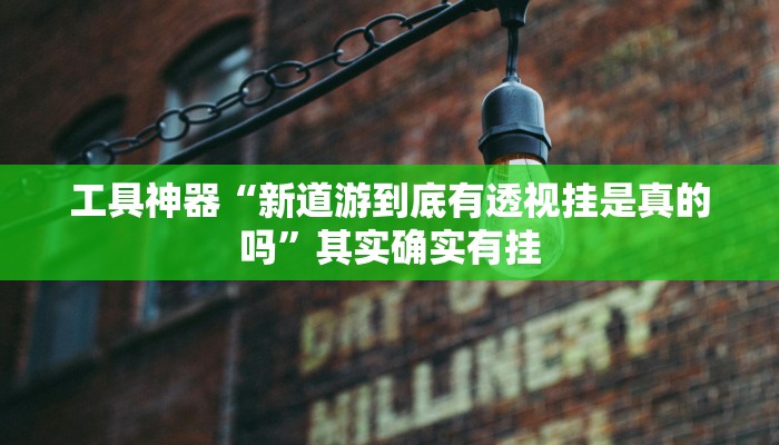 工具神器“新道游到底有透视挂是真的吗”其实确实有挂