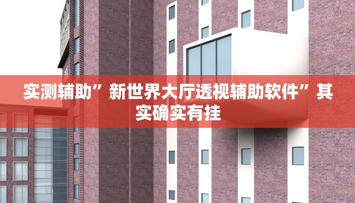 实测辅助”新世界大厅透视辅助软件”其实确实有挂