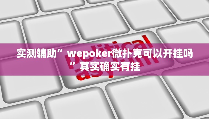 实测辅助”牛公爵辅”(原来确实是有挂)