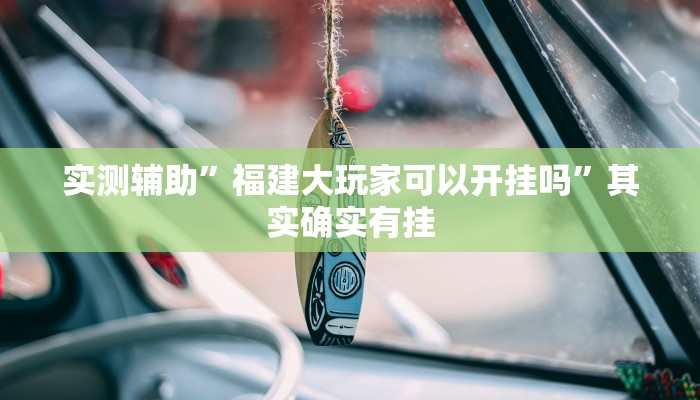 实测辅助”福建大玩家可以开挂吗”其实确实有挂