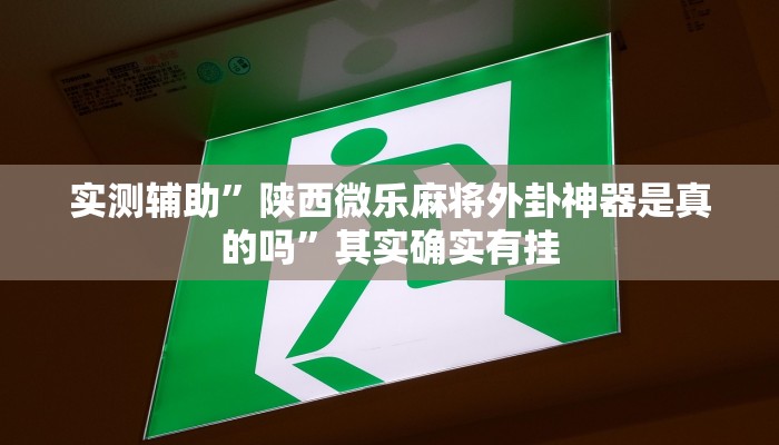 实测辅助”陕西微乐麻将外卦神器是真的吗”其实确实有挂
