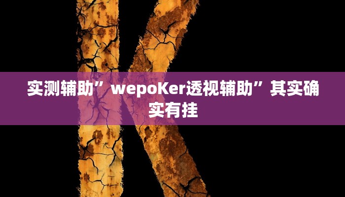 实测辅助”wepoKer透视辅助”其实确实有挂