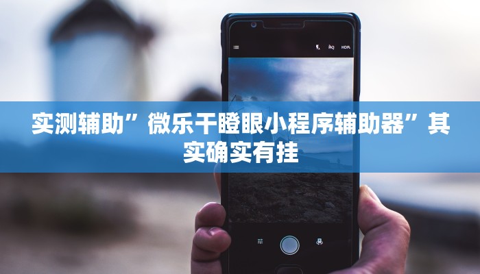 实测辅助”微乐干瞪眼小程序辅助器”其实确实有挂