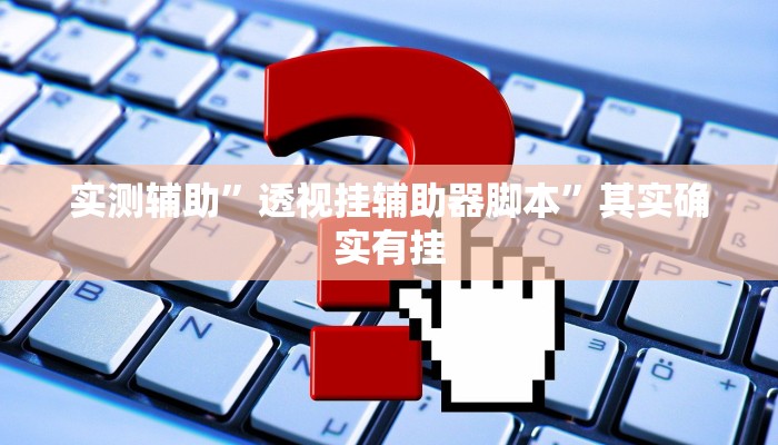 实测辅助”透视挂辅助器脚本”其实确实有挂